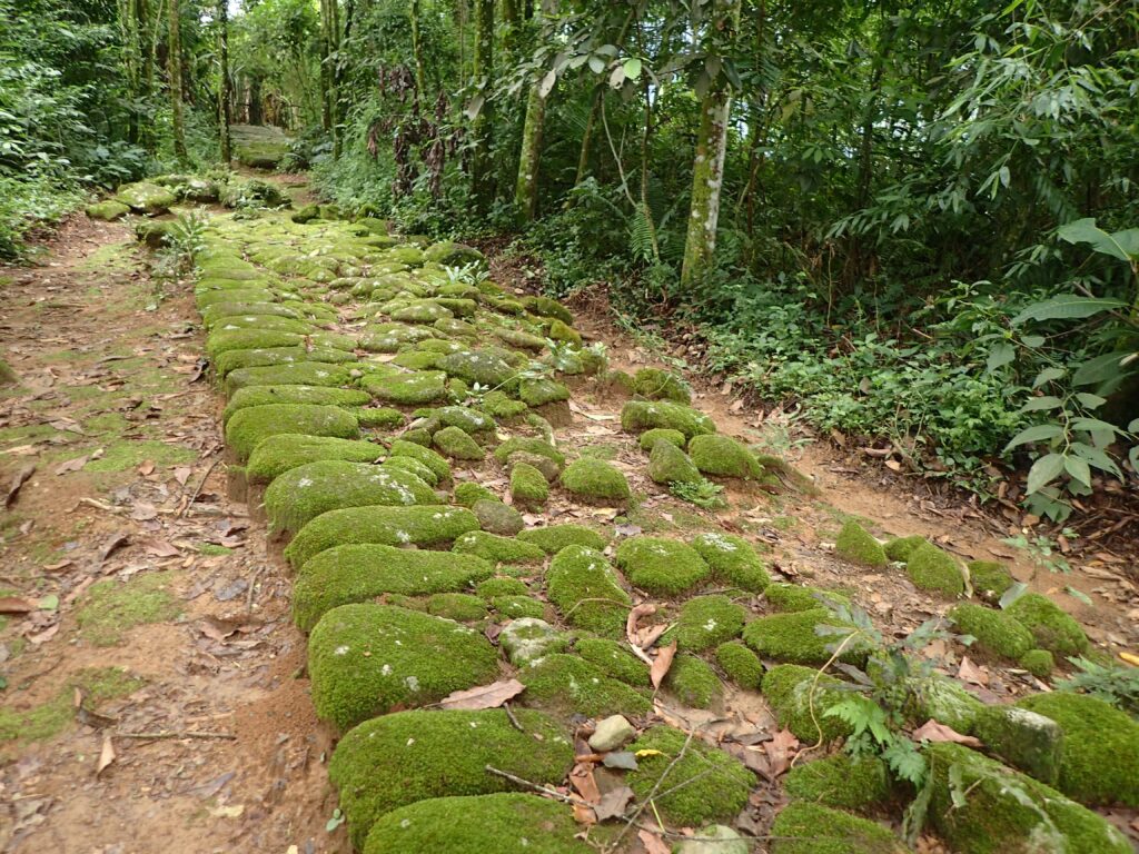 18th Century Gold Trail, national park , bocaina, rainforest, paraty explorer-min