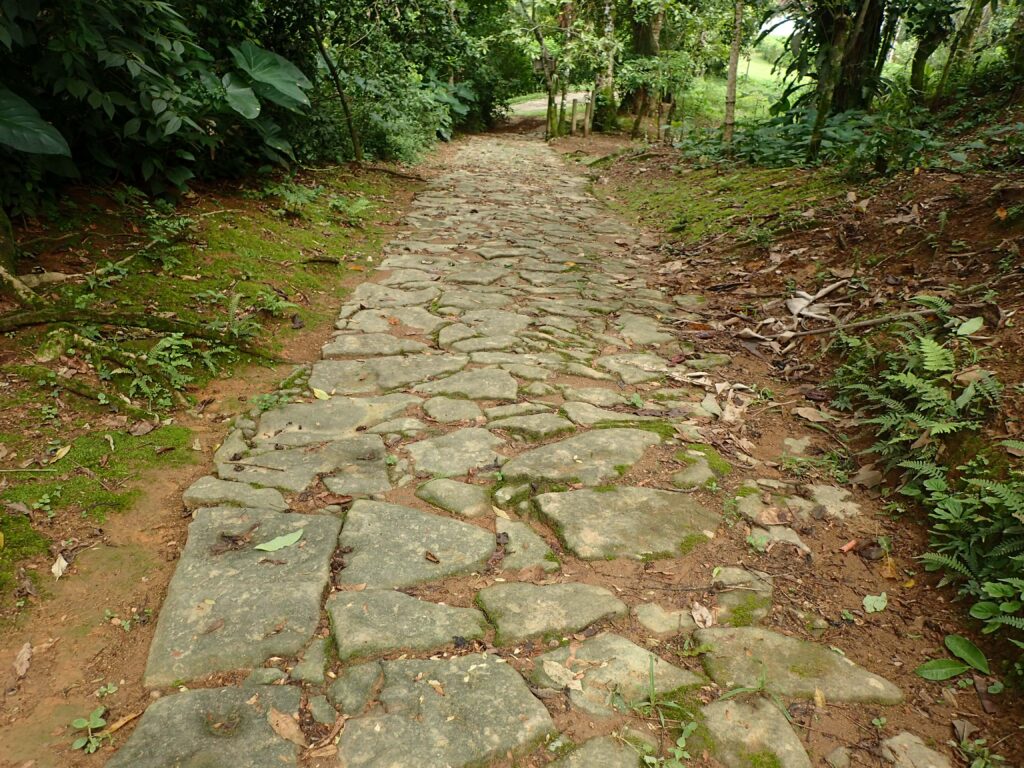 Flyer Gold Trail section built in the 19th Century-min